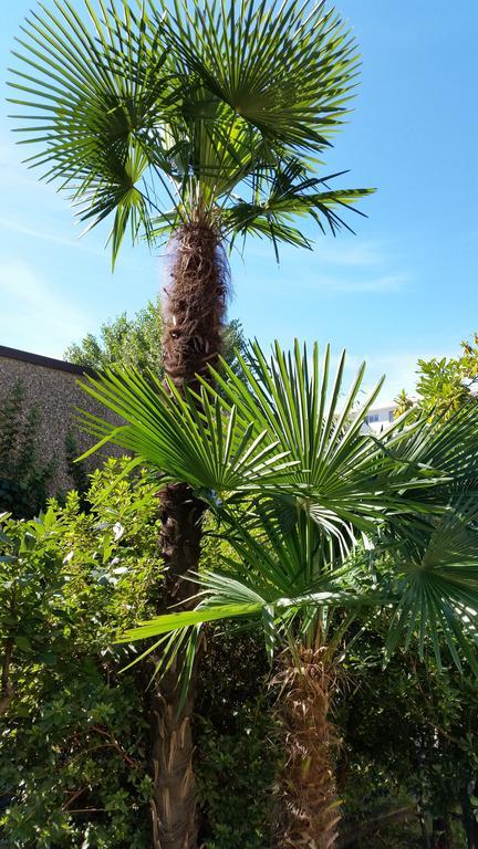 לוקרנו Hotel Elvetico חדר תמונה